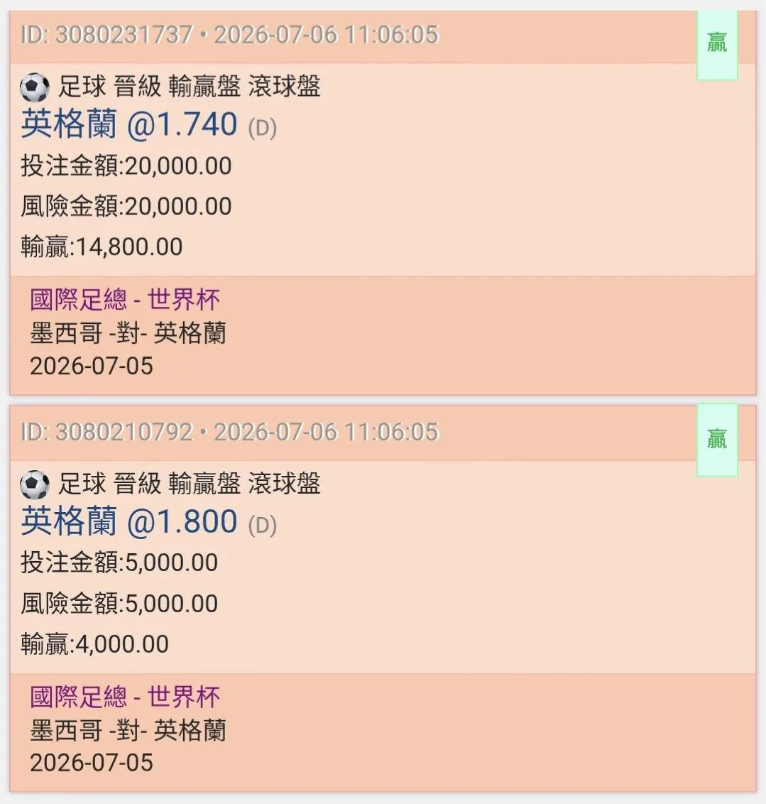 永久記錄 雄獅軍團 圖片